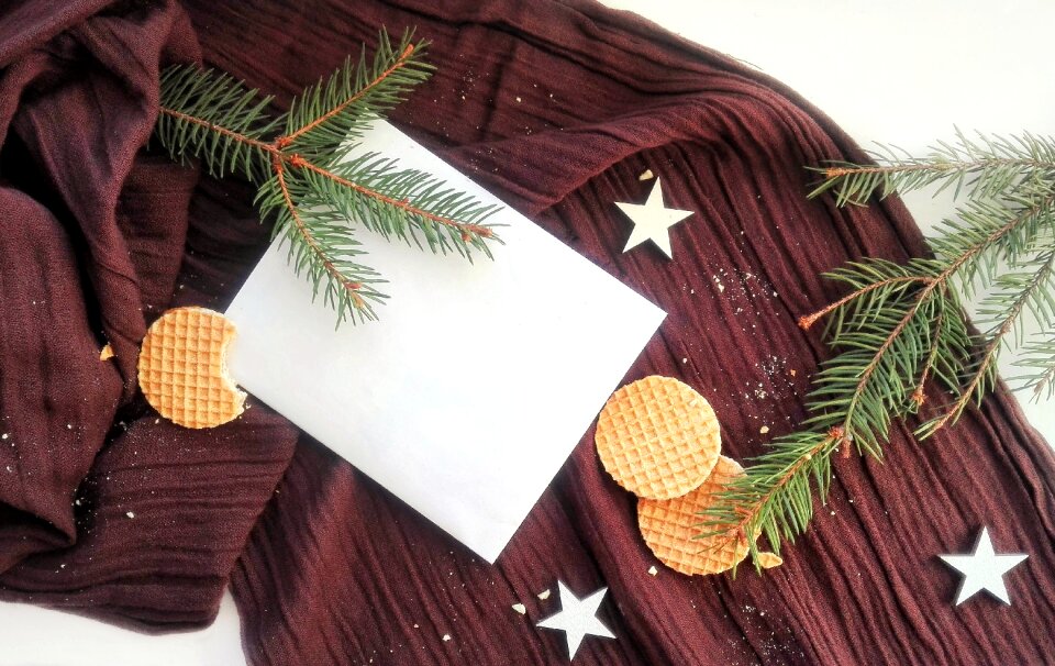Winter background tree