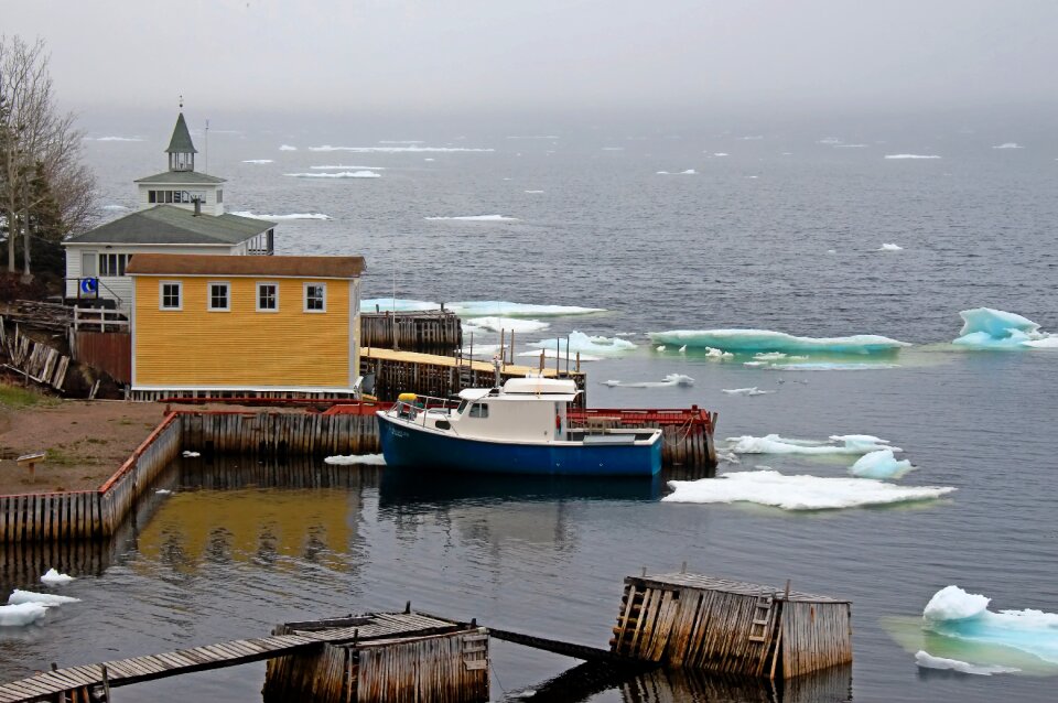 Harbor boat newfoundland