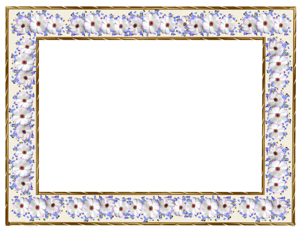 Daisies decoration cut out