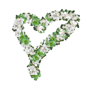 Graphics love scrap