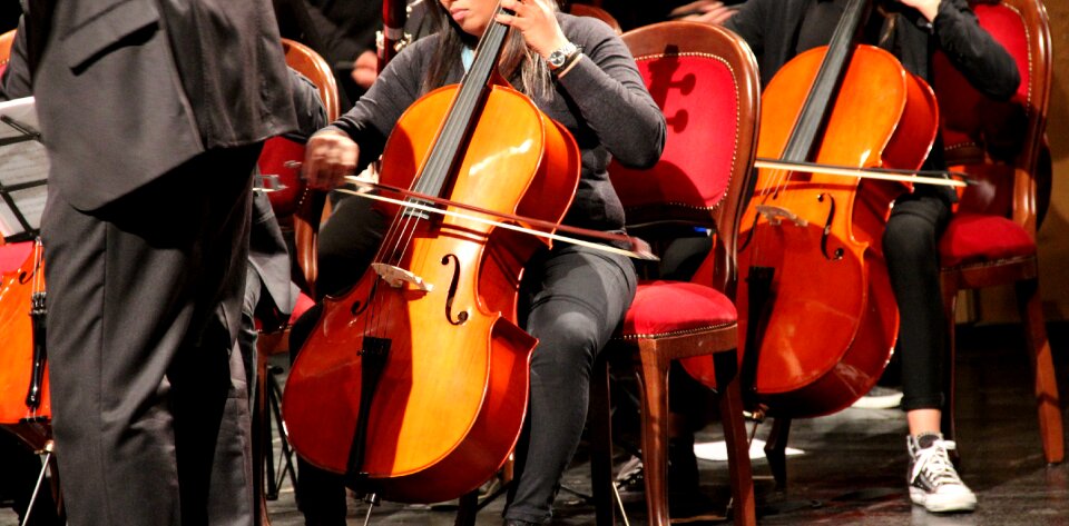 Musician music concert photo