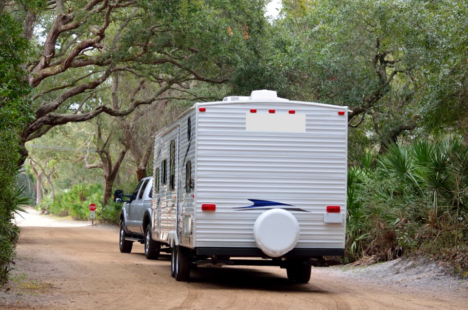 Tree vehicle nature