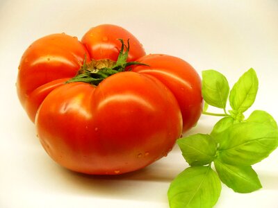 Health fresh tomato photo