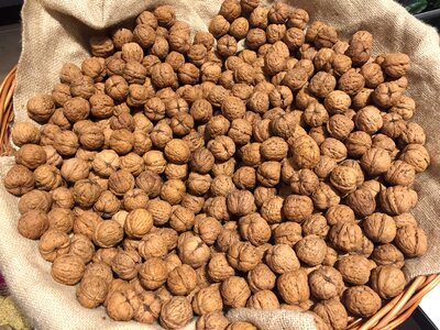 Nut healthy walnuts