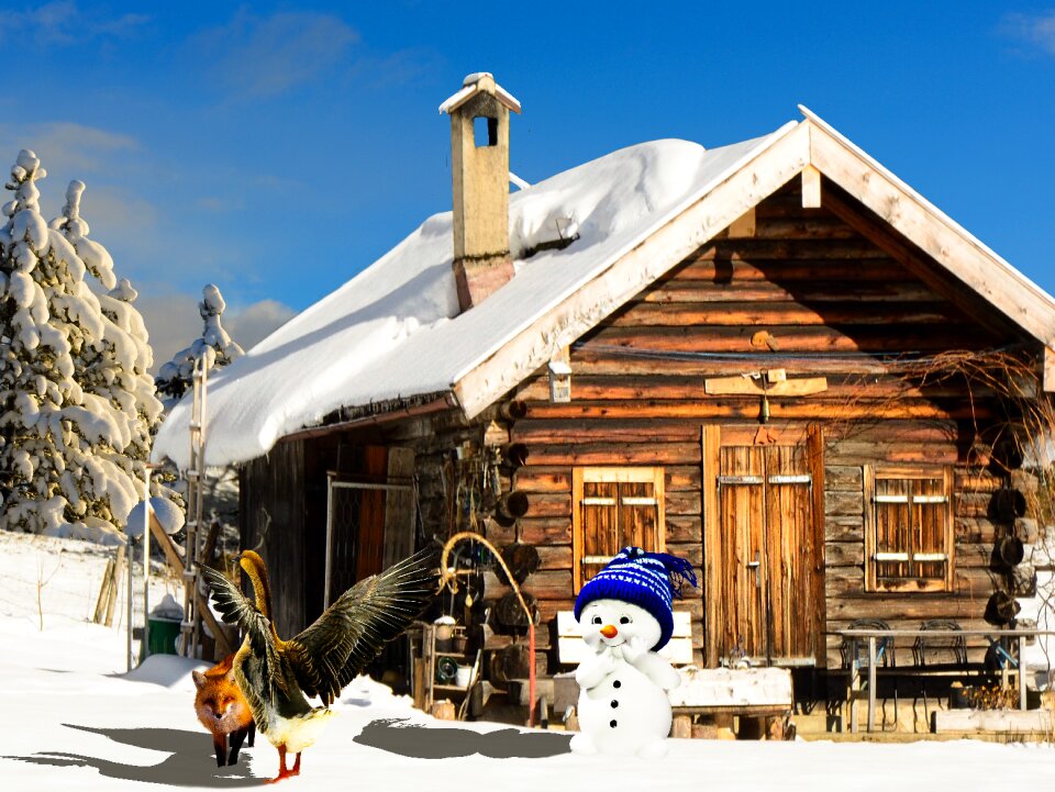 Snowman fuchs goose