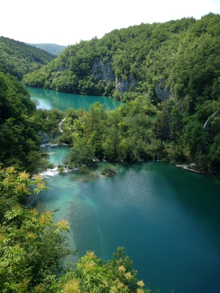 Travel tree plitvice lakes
