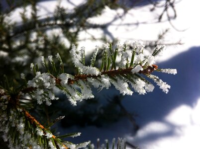 Snow winter champex