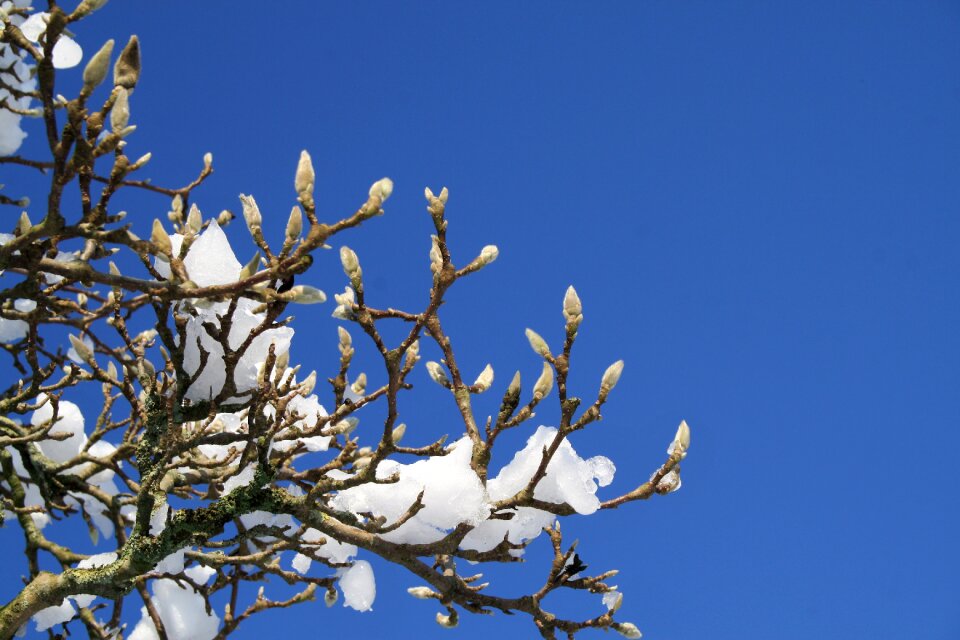 No person season blue sky