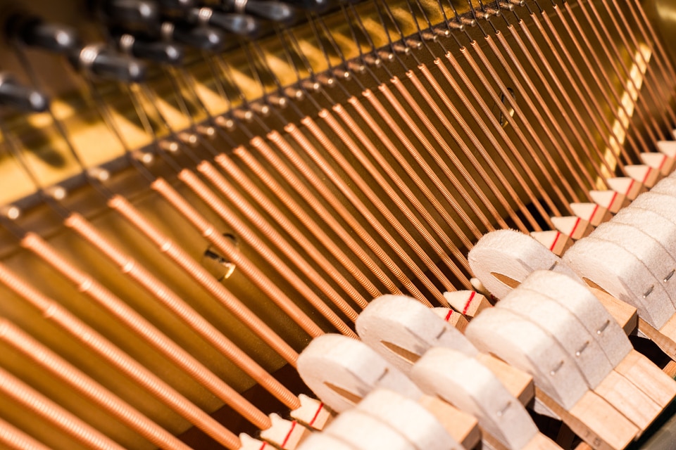Musical instrument keyboard instrument tastenintstrumente