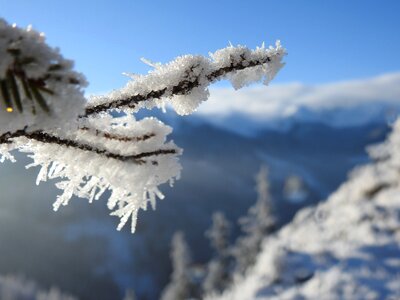 Frost frozen ice photo