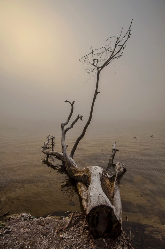 No one landscape water