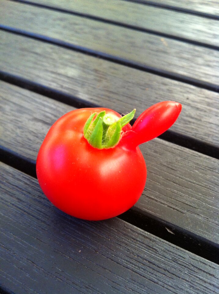 Vegetables wood tomato