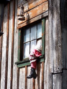 Leg wild west western