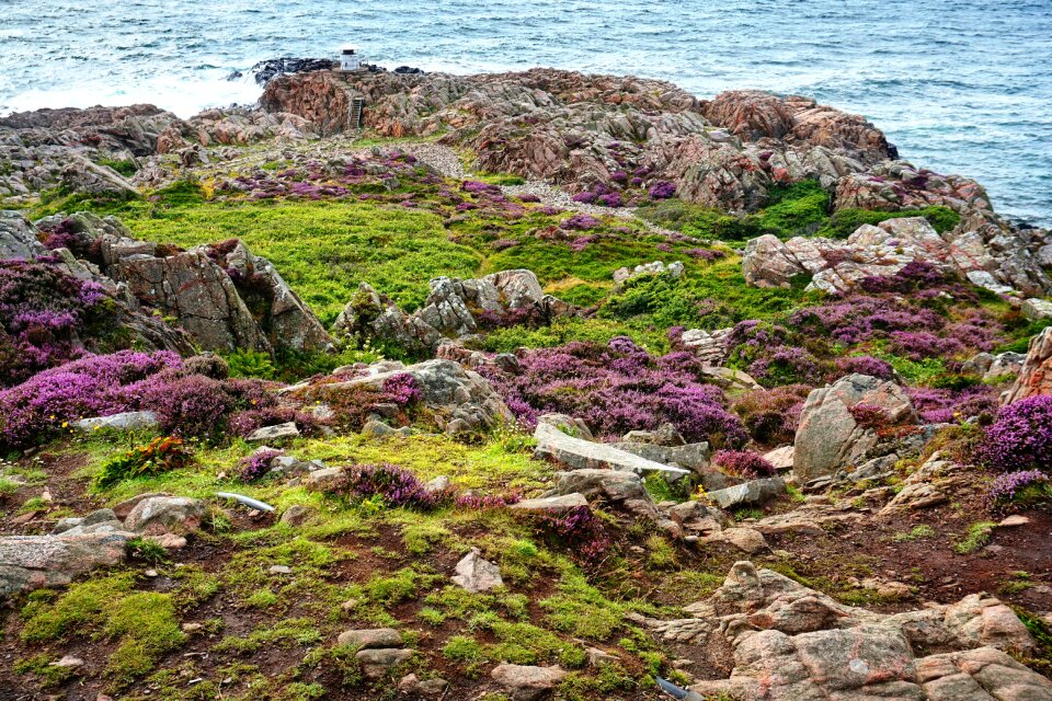 Nature ocean nature park