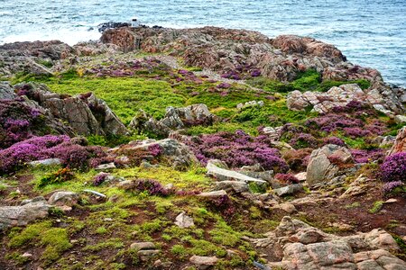 Nature ocean nature park