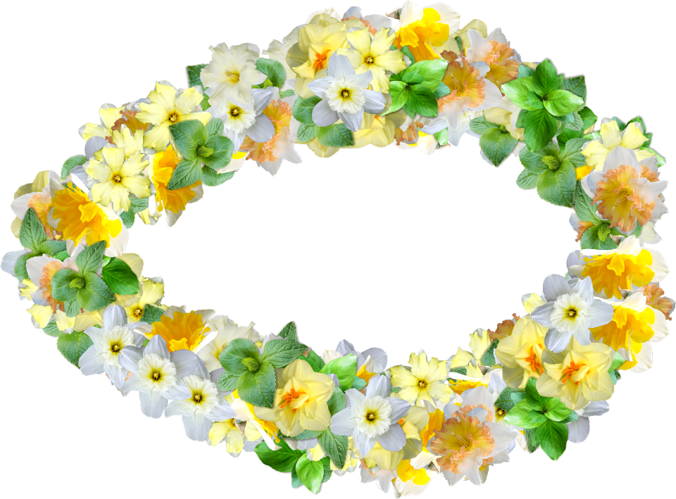 Narcissus decoration graphics