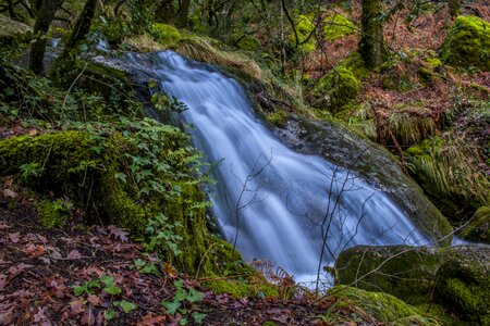 Waterfall wild environment photo