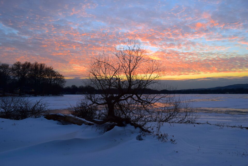 Landscape tree lake photo