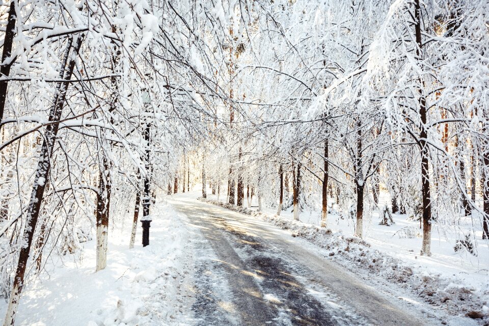 Leann weather landscape