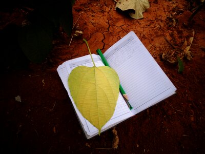 Nature floral black book photo