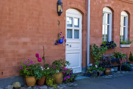 Window family facade