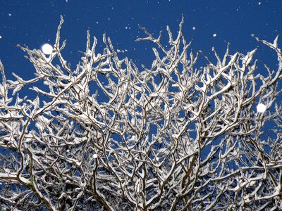 Desktop snow