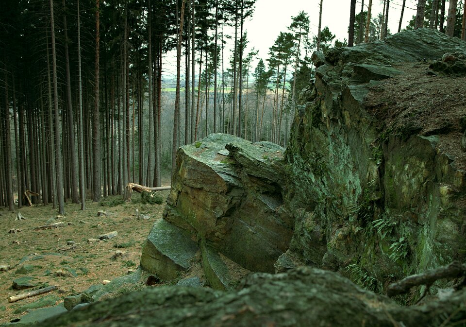 Mountains forest cut