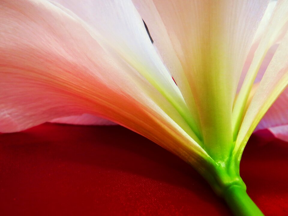 Vivid color sensitive