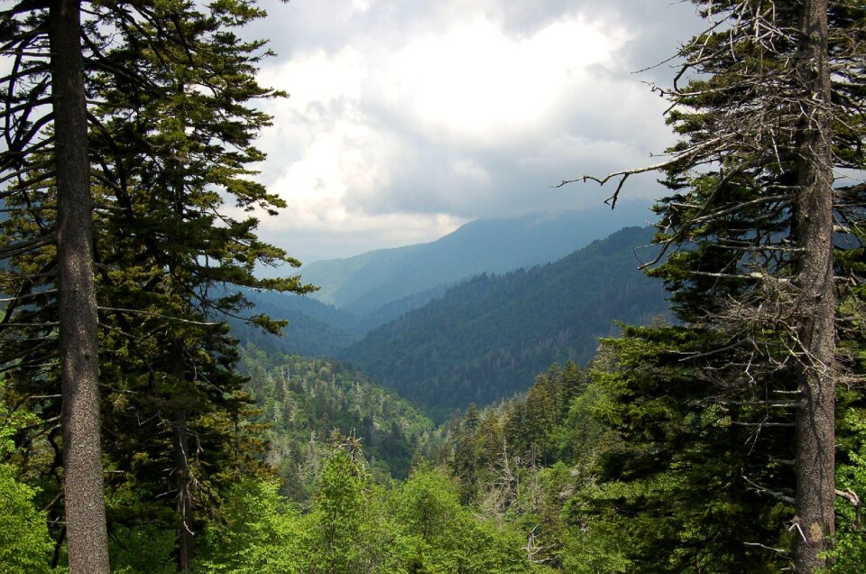 Landscape mountain smoky mountains