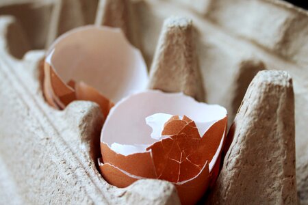 Eggs eggshell calcium