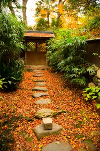 Leaf garden park
