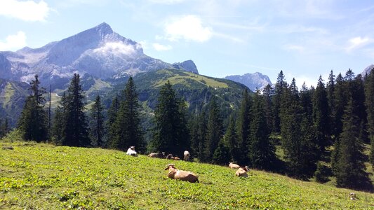 Landscape snow mountain summit