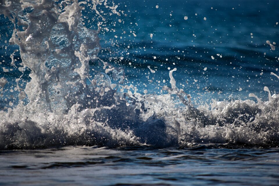 Nature splash motion