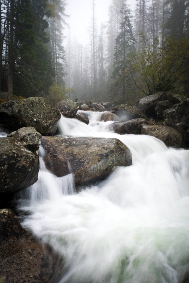 Stream nature tatra mountains photo