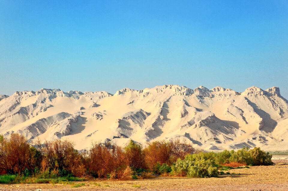 Oasis-el qasr nature sky