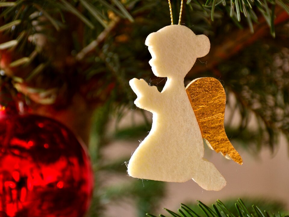 Christmas winter fir tree