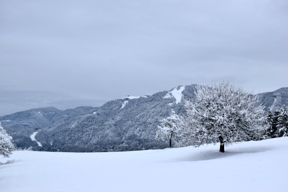 Mountain nature landscape