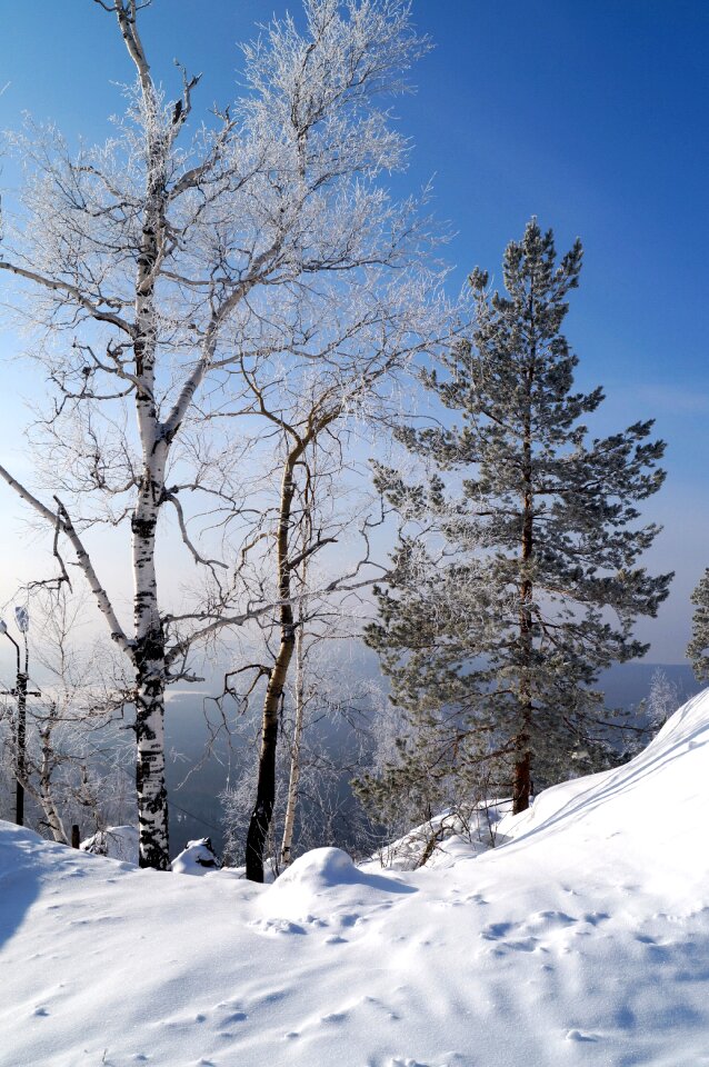 Frost ice russia photo