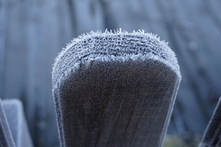 Nature frost winter magic photo