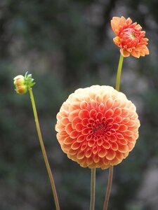 Summer outdoor fulfillment