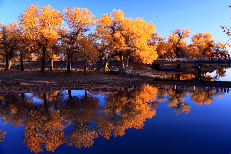 Nature waters autumn