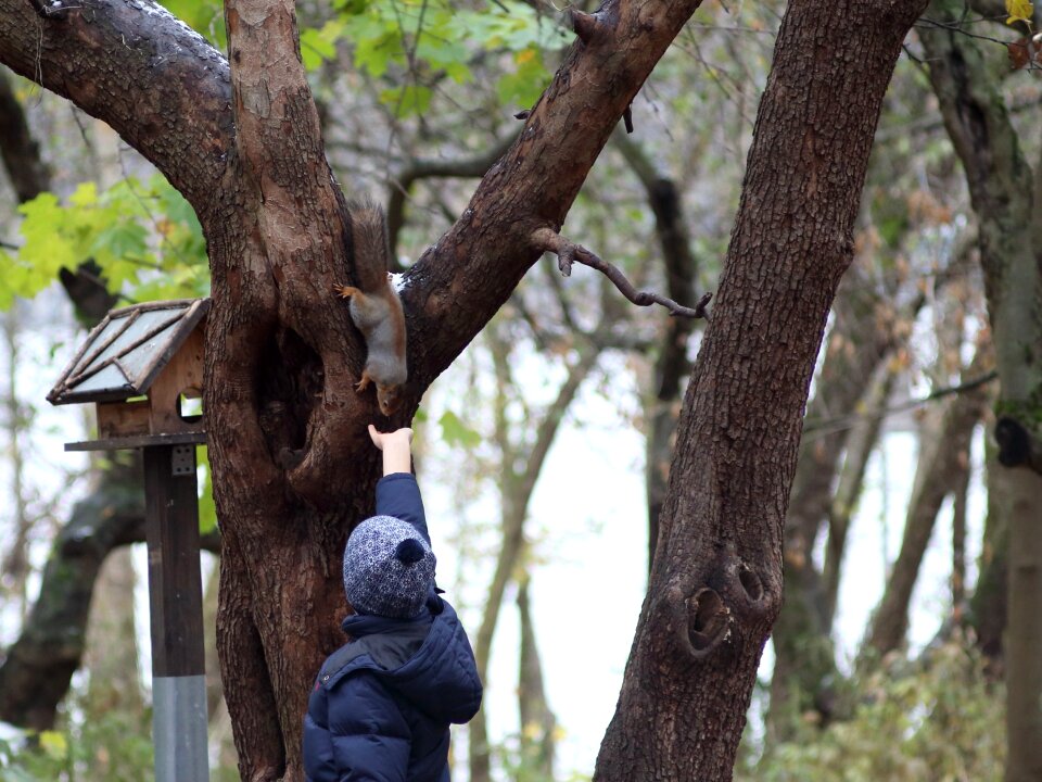 Outdoors park boy