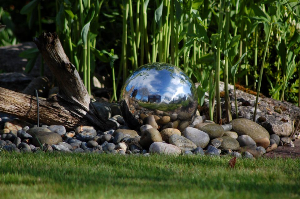 Garden environment summer