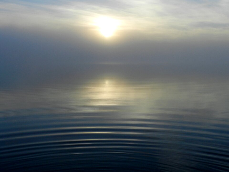 Sun sunrise nature