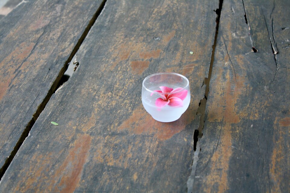 Flower candle flower flower candle