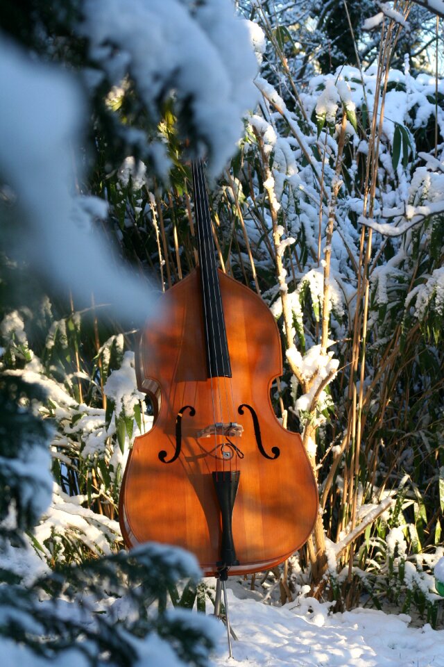Instrument wood nature