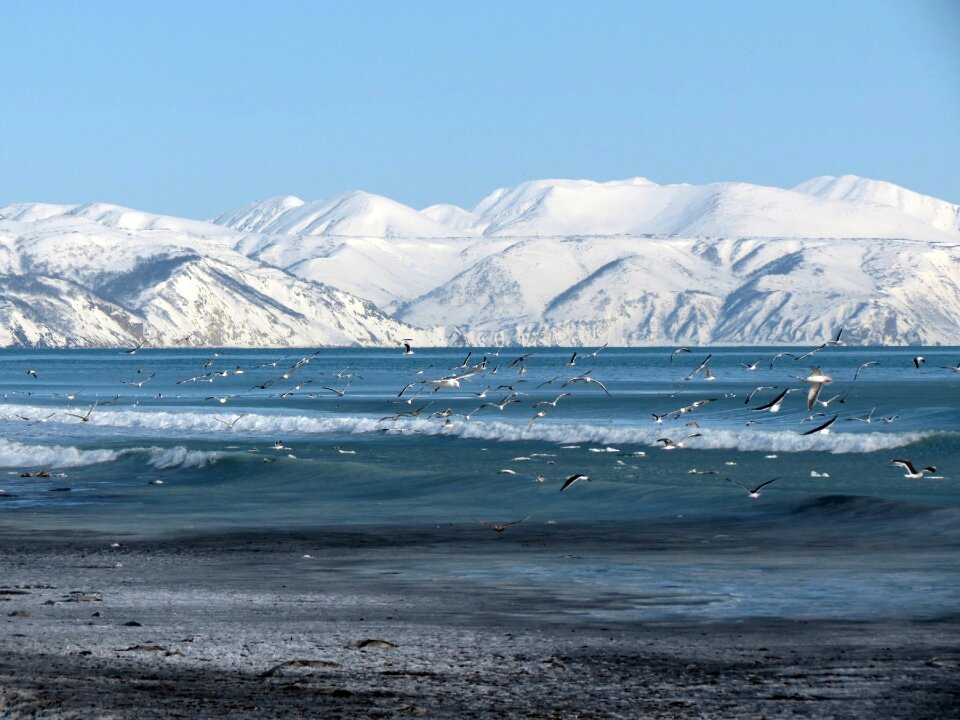 Coast snow winter