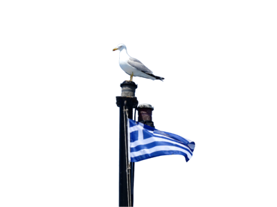 Travel seagull greece photo