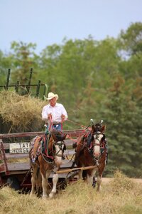 People rural grass photo