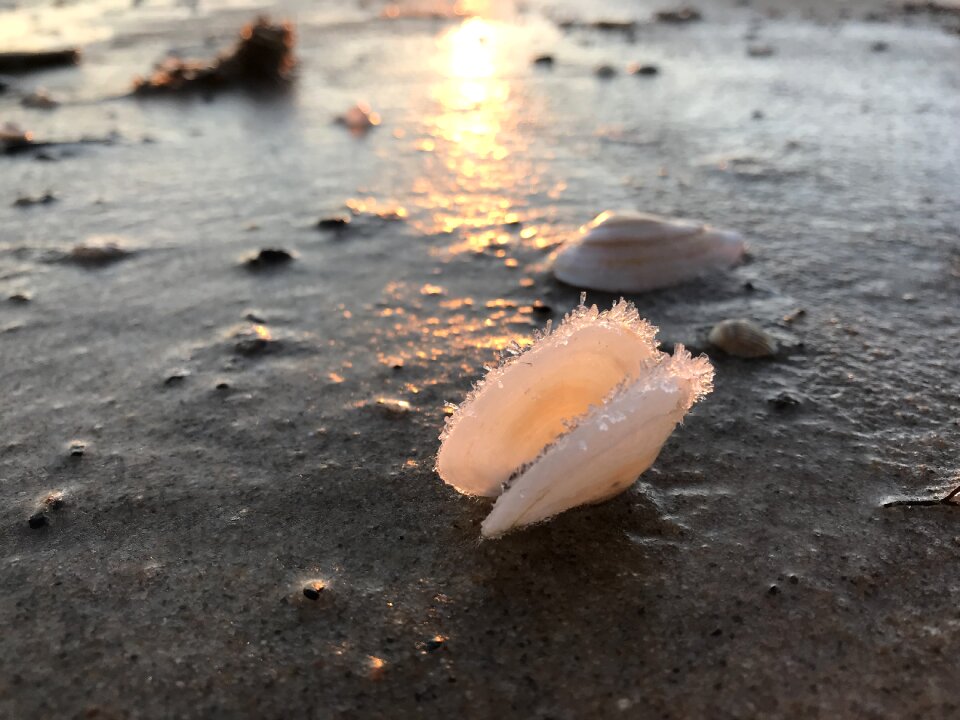 Cold sunrise baltic sea